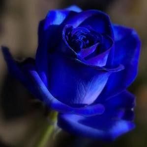 Meet your Posher, Kerri